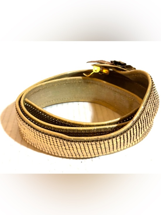 Vintage Gold Stretch Belt with Decorative Medallion main image 4